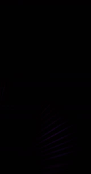 垂直ビデオ カラーグラデーション線 音楽の抽象的な背景 暗い黒の縞模様の自由な空間テクスチャ上のネオン紫のピンクのレーザー光の動きに焦点を当てた Redシネマカメラで撮影 — ストック動画