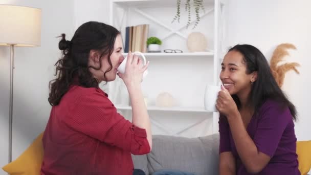 Wypoczynek Domu Szczęśliwe Kobiety Miłego Spotkania Uśmiechnięte Przyjaciółki Siedzące Razem — Wideo stockowe