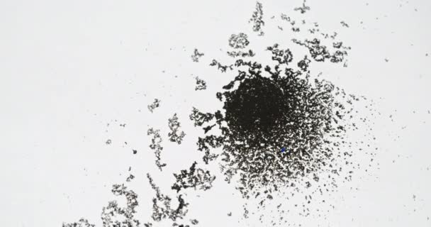 Dust Floating Particles Background Dirt Water Defocused Black Flakes Motion — Stock Video