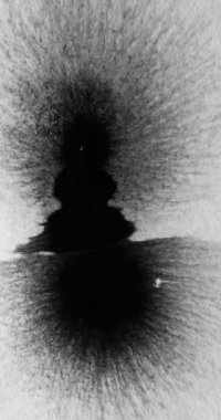 Dikey video. Siyah mürekkep damlası. Dönüşümü göster. Sunum örtüsü. Beyaz grunge dokusuna yayılan sıvı boya lekesi soyut serbest alan arkaplanı.