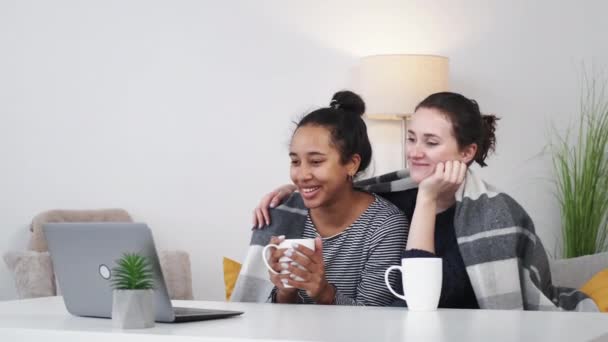 面白いビデオだ 幸せな女性だ 週末を楽しんで 笑いの女性の友人お茶を飲むカバー再生見てラップトップ座って光の部屋のインテリア — ストック動画
