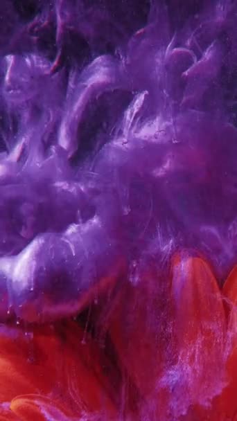 垂直录像 墨水飞溅 油漆水弹出 幻想的本质 橘花花瓣上的紫色闪光液体在抽象的背景上绽放 — 图库视频影像