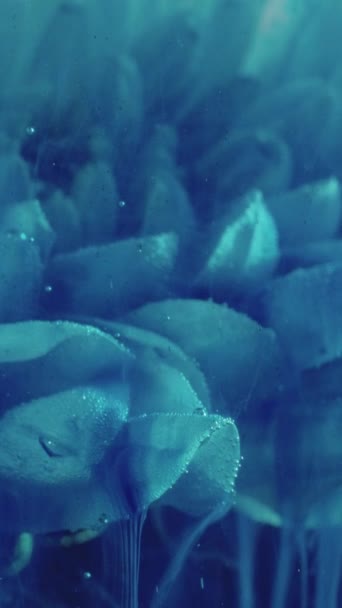 Вертикальне Відео Підводна Квітка Малювати Крапельку Фантастична Природа Синій Колір — стокове відео