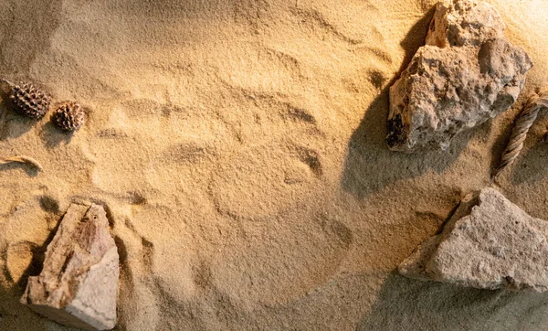 夏の構図 自然表示 砂漠の風景 ベージュビーチの砂のテクスチャ上の均一な石のフレーム配置フリースペース装飾的な背景 — ストック写真