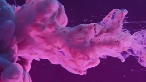 Rozprysk Farby Woda Atramentowa Kolor Chmury Dymnej Różowy Fioletowy Świecący — Wideo stockowe