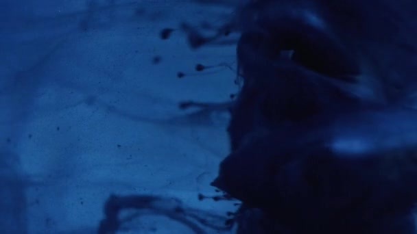 Ink Shot Fluid Splash Smoke Cloud Blue Color Paint Water — Video