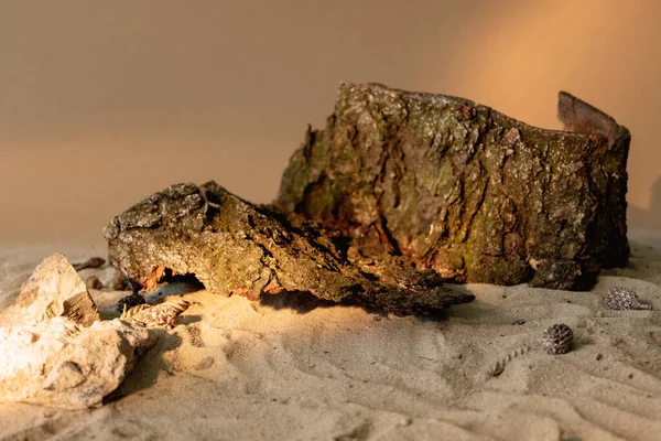 自然の構成 夏のショーケース 製品配置 木樹皮石片配置上ベージュ砂質フリースペース装飾的な背景 — ストック写真