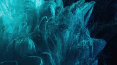 Color mist. Paint water. Underwater splash. Blur cyan blue ink bubbles drops floating over flower petals on dark black abstract background.