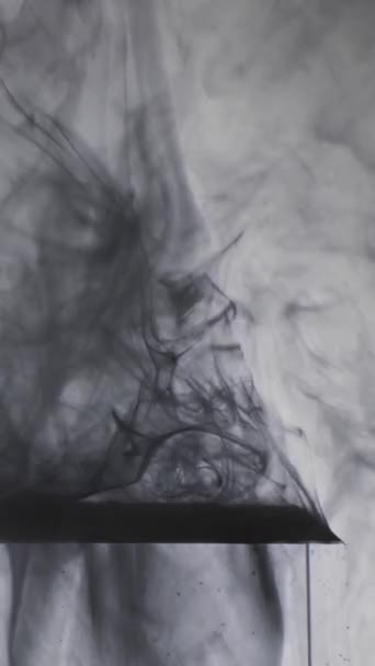 垂直ビデオ 黒煙だ フローティング 白色グランジ上の透明な氷の立方体エッジ上の灰色の蒸気の流れの動き抽象的な背景 — ストック動画