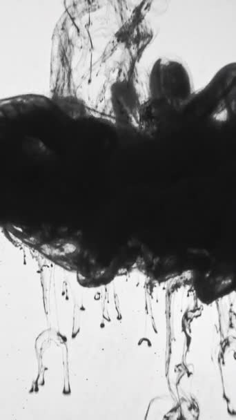 Vertical Video Ink Shot Smoke Cloud Spooky Ghost Black Paint — Stock videók