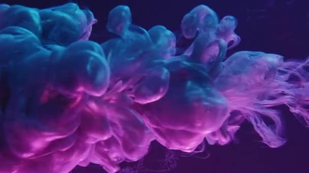 Ink Shot Paint Water Dye Drop Blue Purple Neon Color — Stok video