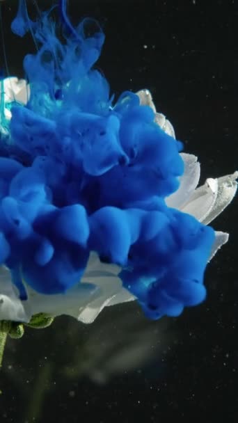 Vertical Video Flower Ink Water Paint Drop Floral Art Blue — Vídeo de stock