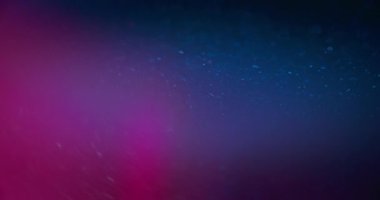 Neon light flare. Bokeh glow overlay. Fluorescent radiance. Defocused blue magenta pink color gradient sparkles on bright abstract background for intro. Shot on RED Cinema camera.
