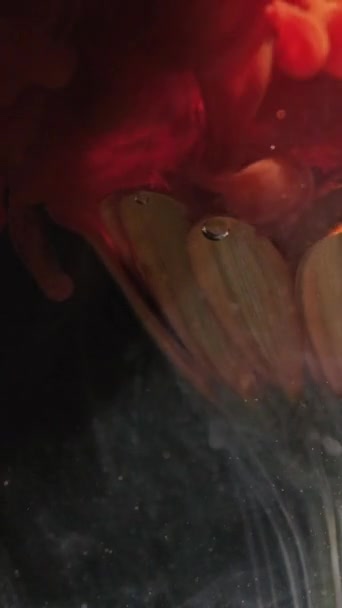 Vertical Video Flower Ink Water Paint Splash Explosion Flame Red — Vídeo de Stock