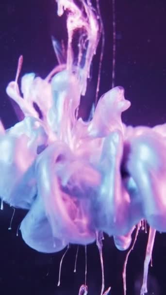 Vertical Video Paint Drop Ink Water Smoke Cloud Blue Pink — Stockvideo