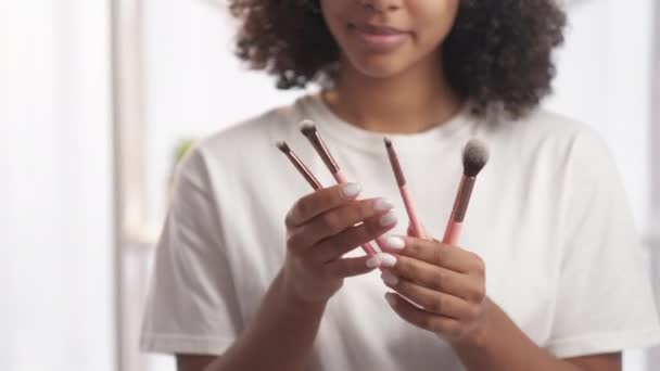 Makeup Tools Brush Set Cosmetic Accessories Visage Kit Satisfied Smiling — Stockvideo