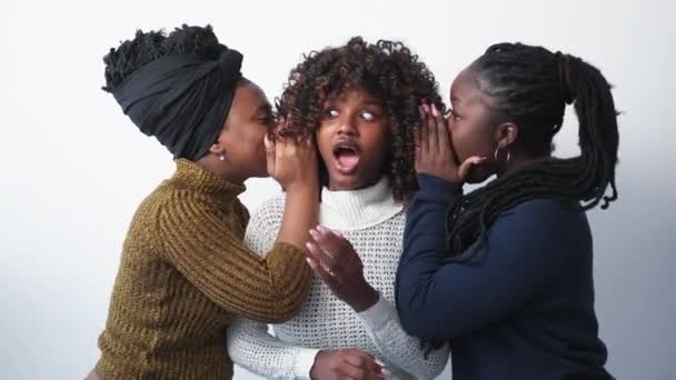 Weiblicher Klatsch Schockierende Nachrichten Freunde Treffen Sich Verschwörer Schwarze Frauen — Stockvideo