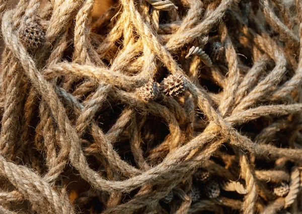 Rope Texture Rustic Background Twine Strand Pile Beige Brown Frayed — Stock Photo, Image