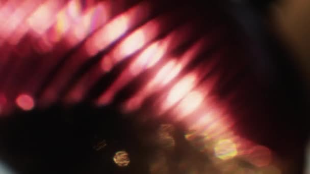 Glowing Background Xmas Toy Macro Shooting Deep Ruby Blinking Blurred — Stok video