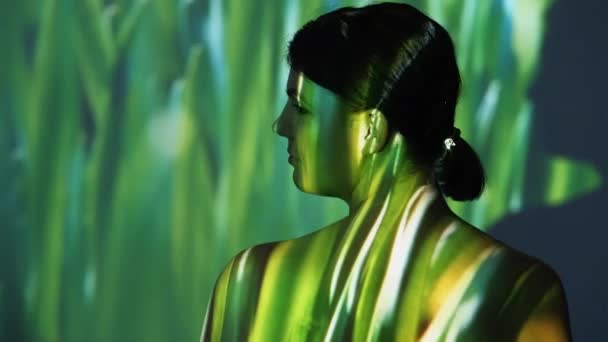 Nature Unity Double Exposure Portrait Peaceful Mind Tranquil Silhouette Woman — Vídeo de Stock