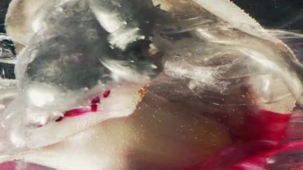 Vertical Video Flower Ink Water Paint Splash Fantasy Nature Pink — Vídeos de Stock