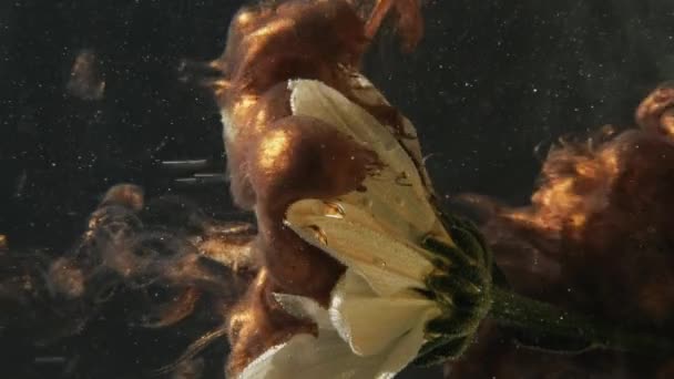 Vertical Video Flower Ink Water Paint Drop Fantasy Nature Bronze — Vídeos de Stock
