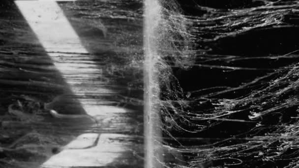 垂直ビデオ 水のスプラッシュ インク滴 流体雨 暗い黒の抽象的な背景に輝くガラスキューブエッジ上の白い輝き蒸気の流れの動き — ストック動画