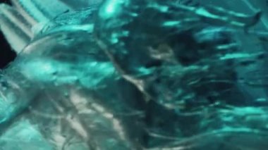 Vertical video. Flower paint. Water ink drop. Fantasy nature. Cyan blue color shiny glitter fluid splash on daisy petals on black background.