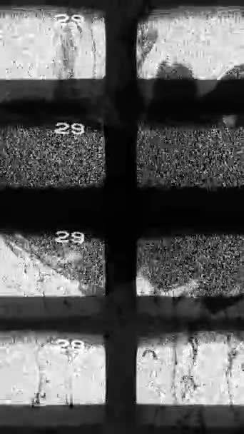 Vertikální Video Porucha Obrazovky Statický Šum Rušení Kanálu Černobílá Textura — Stock video