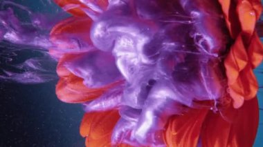 Vertical video. Flower paint. Water ink drop. Floral art. Purple color shiny glitter fluid splash on orange daisy petals on blue background.