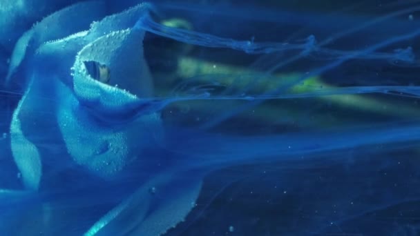 Vertical Video Ink Flower Water Paint Fall Fluid Drip Blue — Stockvideo