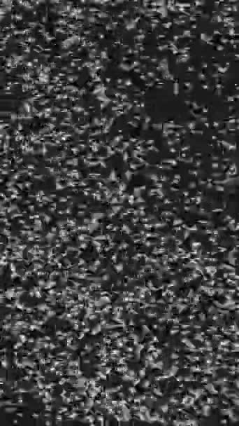Вертикальне Відео Зерновий Шум Аналоговий Глюк Старе Телевізійне Втручання Чорно — стокове відео