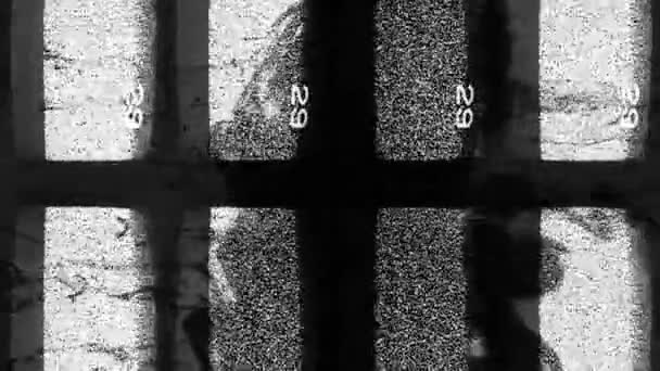 垂直录像 电视闪屏静音 频道干扰 黑白晶晶质感老式电视机显示黑烟流动 — 图库视频影像