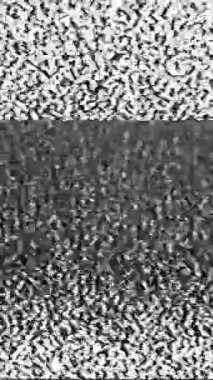 Dikey video. Analog hatası. Eski TV paraziti sesi. Siyah beyaz gerçek VHS tahıl dokusu bozulma tarihi eser ekran soyut arkaplan.