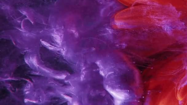 Dikey Video Mürekkep Sıçraması Suyu Boya Fantezi Doğası Turuncu Çiçek — Stok video