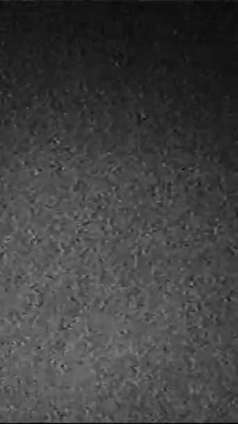 Vídeo Vertical Viejo Ruido Grano Superposición Fallos Película Blanco Negro — Vídeos de Stock