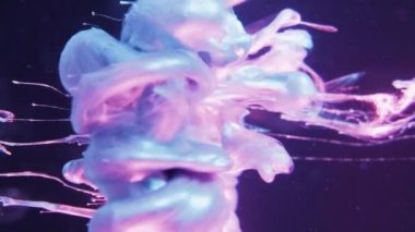 Vertical video. Paint drop. Ink water. Smoke cloud. Blue pink purple neon color light shiny fluid splash motion on glass cube edge abstract background.