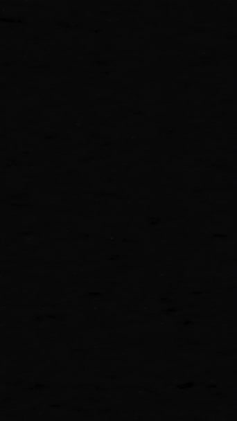 垂直ビデオ グリッチノイズフリッカー遷移 古いフィルム効果 ブラックホワイトリアル穀物アナログ歪み悪い品質のレトロ映画グランジオーバーレイ — ストック動画