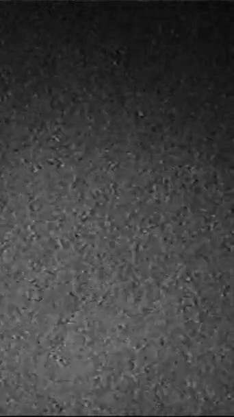 垂直ビデオ 古いフィルムグリッチオーバーレイグレインノイズ ブラックホワイトリアル静的歪みテクスチャフリッカーモーショングランジ抽象的な背景 — ストック動画