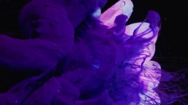 Vertical video. Flower paint. Ink water. Nature art. Blue purple color dye drop falling down on pink daisy petals on dark black abstract background.
