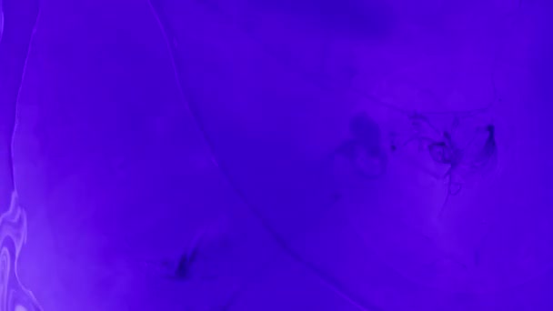 Tintenwasser Flüssigkeitstropfen Saurer Regen Neon Blau Lila Farbe Blitz Licht — Stockvideo