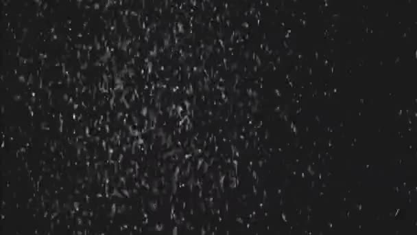 Vcr 정적인 소음이 효과를 되감아 곡물의 줄무늬 텍스처어두운 Grunge 오버레이 — 비디오