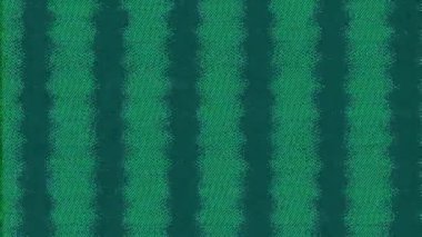 Renk bozulması gerçek bir analog bozukluk. Statik gürültü. Yeşil mavi tahıl dokusu titrek piksel çizgileri nesnelerin geçişi için hasar efekti.