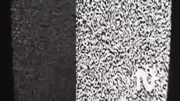 Video Vertical Distorsionarea Canalului Eroare Semnal Rău Alb Negru Cereale — Videoclip de stoc