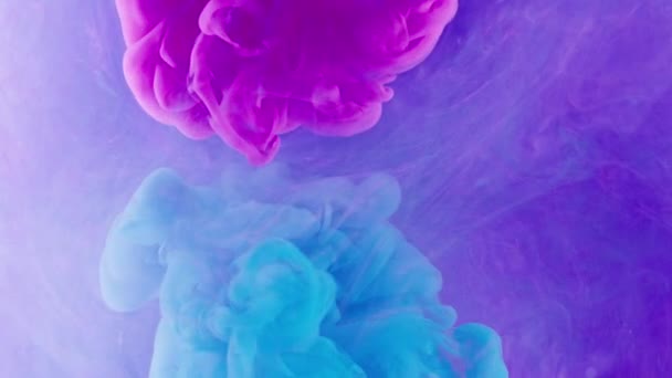 色のスプラッシュ 水を塗れ インクを落とせ オープン移行 明るいピンクブルーの蒸気雲ミックス動きOnミストテクスチャ アブストラクトアートバックショットOn Red — ストック動画