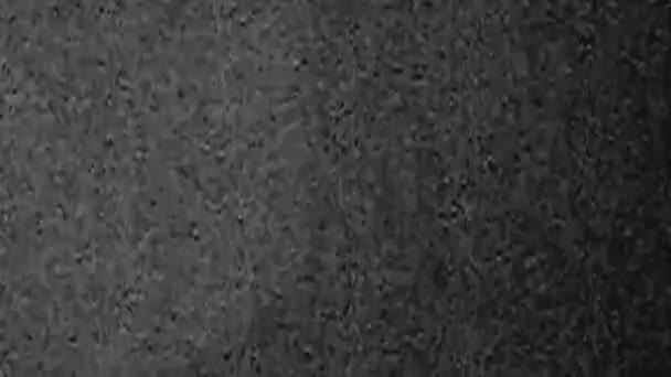 谷物噪音模拟故障 35毫米电影胶片效果 黑白色真实静态畸变旧电视坏信号老式电视摘要背景 — 图库视频影像