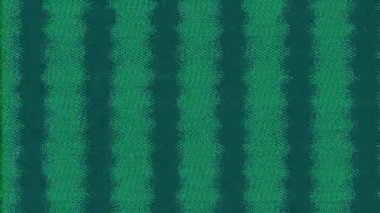 Renk bozulması gerçek bir analog bozukluk. Statik gürültü. Yeşil mavi tahıl dokusu titrek piksel çizgileri nesnelerin geçişi için hasar efekti.