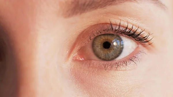 目を閉じて 虹彩検査 眼科の健康 レーザー手術 Woman Face Staring Confident Sight Look — ストック写真
