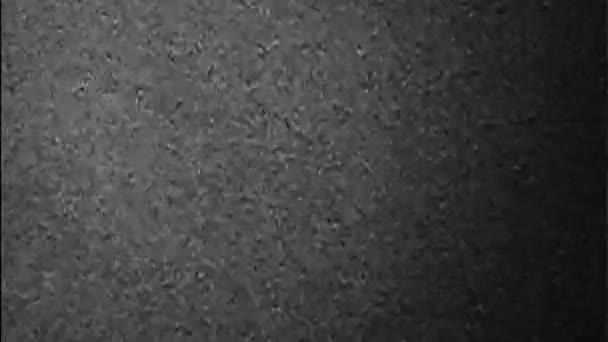 Viejo Ruido Grano Superposición Fallos Película Negro Blanco Real Distorsión — Vídeos de Stock