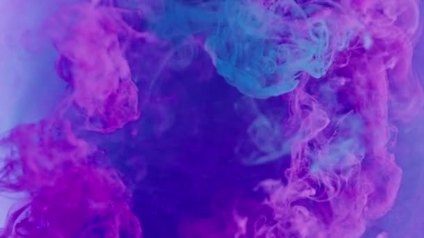 Paint Water Fluid Splash Ink Mix Bright Pink Blue Color — Stock Video